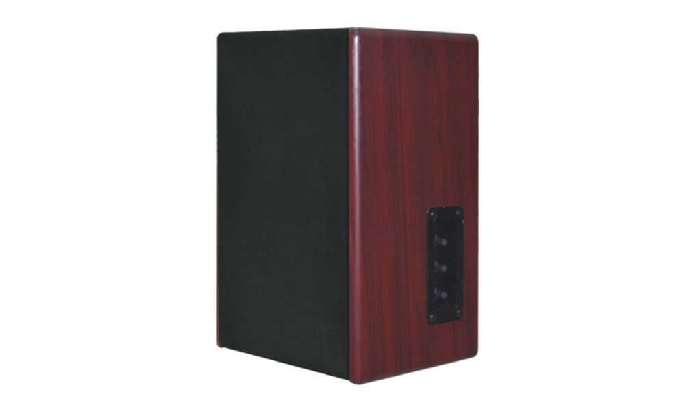 CY-IP1201 IP speaker