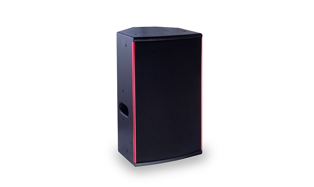 MP10 Professional Speaker Box
